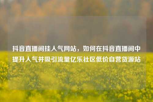 抖音直播间挂人气网站，如何在抖音直播间中提升人气并吸引流量亿乐社区低价自营货源站  第1张