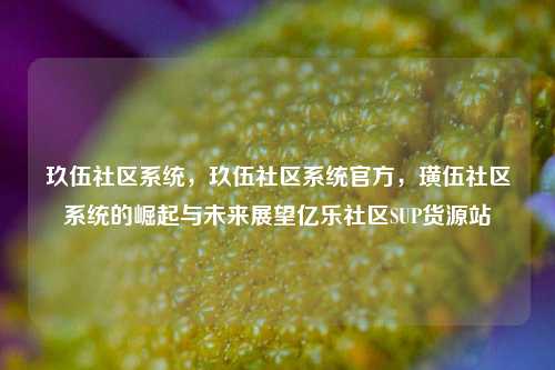 玖伍社区系统，玖伍社区系统官方，璜伍社区系统的崛起与未来展望亿乐社区SUP货源站  第1张
