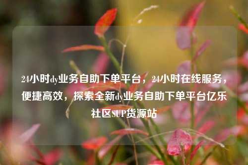 24小时dy业务自助下单平台，24小时在线服务，便捷高效	，探索全新dy业务自助下单平台亿乐社区SUP货源站  第1张