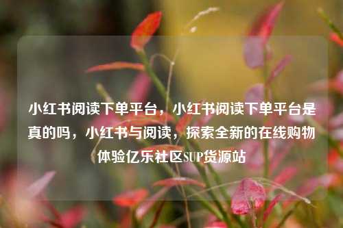 小红书阅读下单平台，小红书阅读下单平台是真的吗	，小红书与阅读，探索全新的在线购物体验亿乐社区SUP货源站  第1张