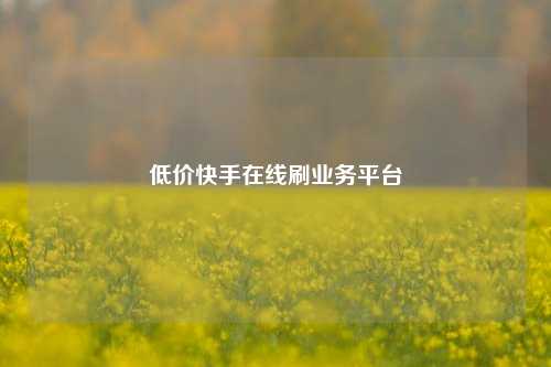 低价快手在线刷业务平台  第1张