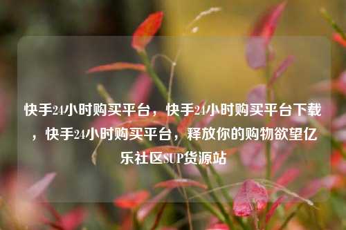 快手24小时购买平台，快手24小时购买平台下载，快手24小时购买平台	，释放你的购物欲望亿乐社区SUP货源站  第1张