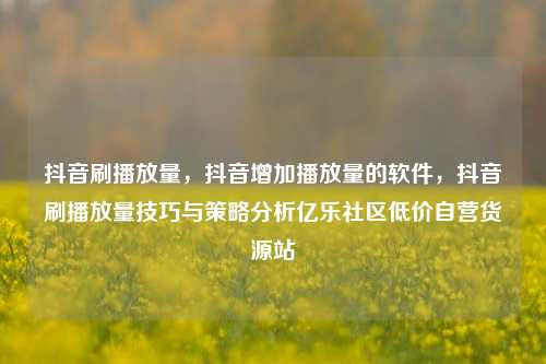 抖音刷播放量，抖音增加播放量的软件，抖音刷播放量技巧与策略分析亿乐社区低价自营货源站  第1张